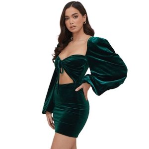 sachin and babi light blue dress Pre-owned Alexander Wang Velvet Mini Dress In Green main image 0