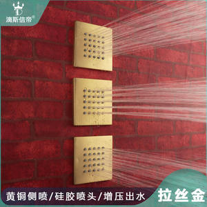 Cabezal de Ducha DISSI de Latón en Oro Cepillado con Rociador Lateral Cuadrado, Patrón de Rociado Suave, Accesorios de Baño Ocultos para Uso en Apartamentos - Product Image 4