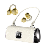 Mini TWS oordopjes voor V5.3 met microfoon, IPX4 waterdicht, Hi-Fi stereogeluid voor gebruik in de luchtvaart & door DJ's, sportdesign, mini tasje