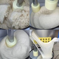 Machine commerciale automatique en acier inoxydable pour le moulage de gâteaux de riz Ciba Daifuku Tteok de style artisanal et le battage de mochi