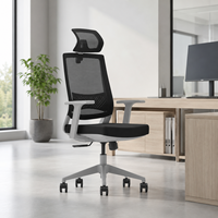 Chaise de bureau exécutive moderne ergonomique avec accoudoirs réglables, en maille nylon, style élévateur, économique, pour conférences et usage scolaire