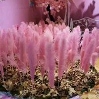 Feux d'artifice de simulation de mariage ronds LILIS L001 avec soie