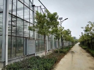 Láminas de <span class=keywords><strong>Policarbonato</strong></span> para Techo de Invernadero, Extruidas con Protección UV, Ecológicas, Duraderas, de 6 mm, 8 mm y 10 mm, Panel <span class=keywords><strong>Alveolar</strong></span> Transparente de 50 um - Product Image 3