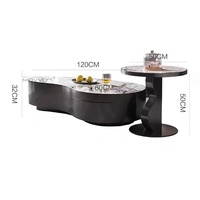 Nouvelle arrivée - Ensemble de table basse en acier inoxydable contemporain à motif marbré MOVVON