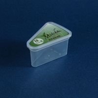 QH-212 Boîte d'emballage moderne en plastique PS pour gâteau en tranches avec plateau intérieur, pour gâteau au lait de coco cru et mousse triangulaire