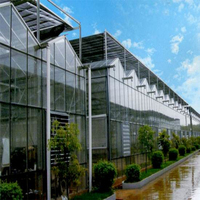 Serre de jardin hydroponique à travées multiples Serres en verre à couverture de cadre commercial agricole