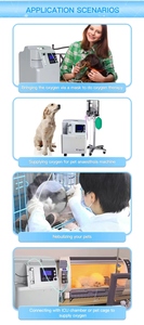 Veterinary <strong>Oxygen</strong> <strong>Concentrator</strong> 5l ,10l <strong>Oxygen</strong> <strong>Concentrator</strong> - Product Image 5