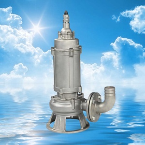 Bomba Sumergible para Aguas Residuales de Alta Eficiencia y Gran Resistencia, Bomba Sumergible de Hierro Fundido y Acero Inoxidable - Product Image 1