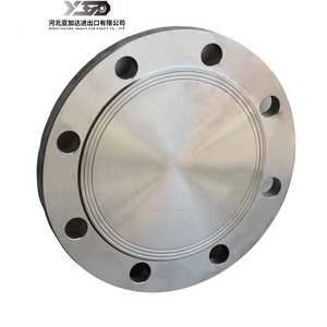 Фланец глухой кованый ASME B16.5, высоконапорный, класс 150-2500, 0.5"-24", из нержавеющей стали/железосодержащего сплава <span class=keywords><strong>ASTM</strong></span> A182 F304/F316, полированный - Product Image 1