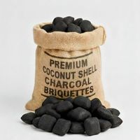 Charbon de bois en briquettes en forme d'oreiller, en coque de noix de coco, marque Overseas Exim, origine Karnataka