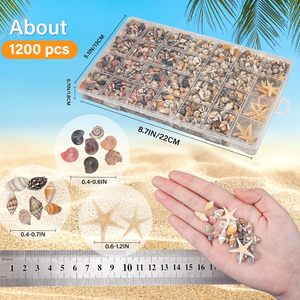 1200 pcs <span class=keywords><strong>Tiny</strong></span> seashells & 21 con sao biển hỗn hợp số lượng lớn bãi biển vỏ nhỏ cho trang trí nội thất, bãi biển chủ đề trang trí bên - Product Image 2