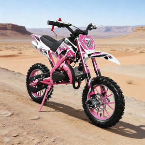 Vente flash : Mini moto tout-terrain de poche 49cc à moteur 2 temps pour enfant de 10 ans - Product Image 1