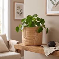 Jardinières décoratives pour la décoration de la maison et du patio, pots à plantes, plantes en pot, pots de jardin en céramique