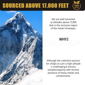 Himalayan อัลตร้าอาหารเสริม Puro <span class=keywords><strong>Naturel</strong></span> ธรรมชาติแท้แบบดั้งเดิม Puriyode biyode shilajit เรซิ่นสำหรับผู้ชาย - Product Image 3