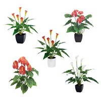 Plante artificielle de lys calla rose, décoration moderne, respectueuse de l'environnement, simulation réaliste au toucher, bonsaï DIY pour mariage, fête, spectacle