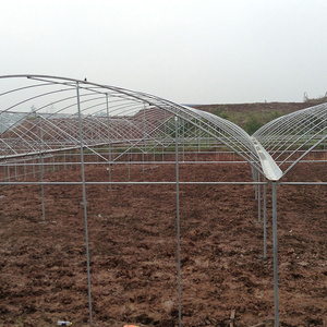 Mini serre pour <span class=keywords><strong>tomate</strong></span> à faible coût grande taille Poly Tunnel haute polythène abri de pluie Agriculture serre pour légumes - Product Image 5