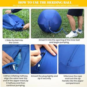 Balle <span class=keywords><strong>de</strong></span> Yoga chevaux décrochage balle <span class=keywords><strong>de</strong></span> troupeau pour animaux <span class=keywords><strong>de</strong></span> compagnie pour chiens <span class=keywords><strong>berger</strong></span> australien jouer jouets pour chiens Yoga <span class=keywords><strong>chien</strong></span> jouet balles jouets interactifs - Product Image 5