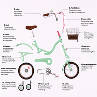 Bicicleta para Niñas, Cuadro de Acero al Carbono, 20 Pulgadas, con Sistema de Una Velocidad