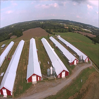 Élevage préfabriqué de maison de volaille de hangar de ferme de poulet de structure en acier de coût commercial