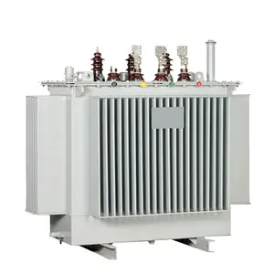 Tiga fase amorf Aloi 30 50 63 100 800 2500 kVA transformer terbenam minyak transformer tipe minyak 400V dyn11