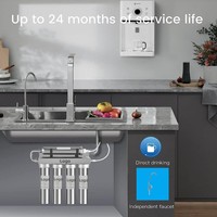 Purificateur manuel de sous-évier de robinet de purification d'eau de charbon actif d'ultrafiltration pour l'eau potable de ménage prix du Japon