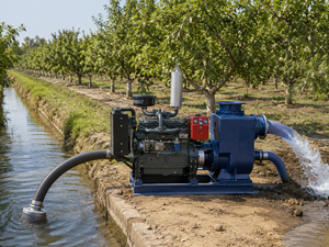 <span class=keywords><strong>Pompe</strong></span> à eau centrifuge auto-amorçante SQHB haute pression diesel et électrique en fonte pour l'irrigation agricole - Product Image 2