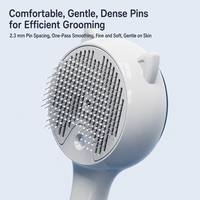 Brosse démêlante antistatique pour animaux de compagnie (chats et chiens) – Élimine les poils en un clic – Outil de toilettage – Vente en gros
