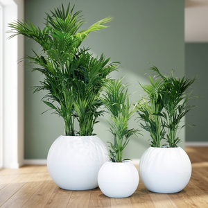 Luxury Fiberglass Decorative Flower <b>Planter</b> <b>Large</b> Plant Pot Modern Garden Container for Indoor Outdoor Home Villa Hotel - Product Image 1