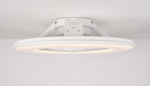 Ventilateur de plafond personnalisé OEM ODM avec lumière, fabrication professionnelle pour les propriétaires de marques e-commerce mondiales - Product Image 5