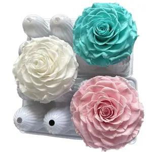 9-10cm Big Size Rainbow Eternity Preserved Roses Two-tone Preserved Flowers bud for Valentine's Day gift