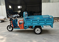 Tricycle électrique élégant à grande capacité à 3 roues avec conception de chargement ouvert, certifié CEE, 60V, 2 passagers