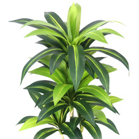 Plante artificielle en plastique Dracaena Fragrans de 3 à 7 pieds en pot, pour décoration extérieure, bureau, jardin, maison, faux arbre