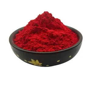 China Factory Supply Iron Oxide Red Pigment Red 101 For Concrete Coloring CAS 1309-37-1
