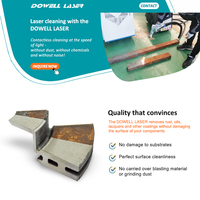 Máquina Profesional de Eliminación de Óxido por Láser de Mano, Máquina de Limpieza por Láser de Fibra, Limpiador IPG 1500 1000 500 200 100 Vatios MAX Láser