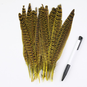 Rộng Đầy Màu Sắc Nhuộm Nữ Gà Hoang Dã Gà lôi Đuôi Lông Biểu Diễn Sân Khấu Ăn Mặc Thủ Công Phụ Kiện Tóc Seashell Thương Hiệu - Product Image 5