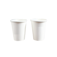 Gobelet pour crème glacée, nouilles ramen halal, jetable, 10 pouces, 3 contenants, assiettes en mousse, gobelet en mousse, 12 oz, 4 oz, verres à thé chaud Karat