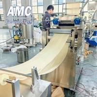 Ligne d'extrusion et de friture de granulés de collation AMC, ligne d'extrusion et de friture de granulés de collation, machine à chips 2D