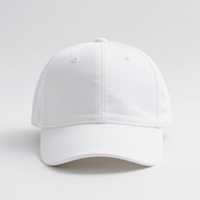 Casquettes de baseball unisexes à 6 panneaux en coton avec logo personnalisé OEM Blanc uni, incurvées, ajustées, style sportif avec motifs de fruits à pois léopard