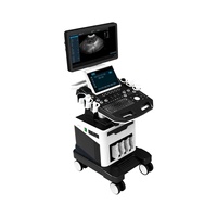 Instrumen Ultrasound Medis Portabel Penggunaan Dokter Hewan Mesin Ultrasound Hitam dan Putih Harga Pemindai Hewan