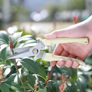 Tijeras de podar de acero inoxidable para jardín, árboles frutales, bonsái, uso en exteriores - Product Image 4