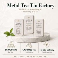 Coffret d'échantillons de parfum, boîte rectangulaire vide en fer blanc avec couvercle, format voyage, pour baume parfumé, rangement, logo personnalisé, vente en gros, cosmétiques, lotions