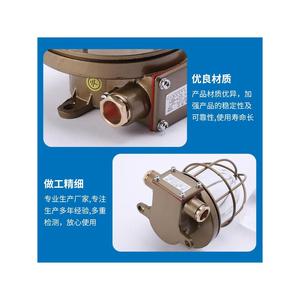 Liangzhou CCD9-5 Incandescent Cabin Ceiling <b>Light</b> <b>Waterproof</b> Explosion Proof CCS Certified Marine Lighting - Product Image 3