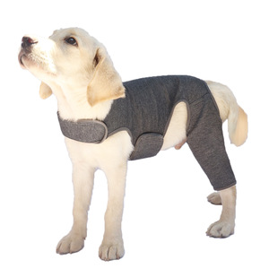 Chaleco de Soporte Trasero Transpirable y Antilamido para Rehabilitación, Traje Ajustable para Recuperación de Lesiones, Soporte Doble para Patas Traseras de Perro - Product Image 2