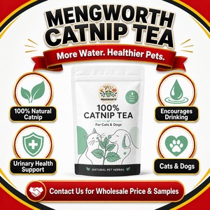 Tisana Biologica di Erba Gatta per Gatti e Cani - Stimola l'Idratazione - Supporto Idratante - Pura Erba Gatta - 30 Bustine Monodose - Confezione Bulk - Product Image 1
