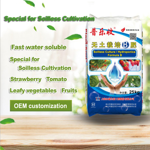 <span class=keywords><strong>Engrais</strong></span> spécial pour la culture de fraises sans sol - Product Image 3