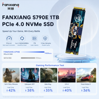 FANXIANG S790E M.2 2280 SSD 1TB NVMe PCIe 4.0 Internal Solid State Drive 600TBW OEM Pasokan Massal Sistem Builder Tersedia di Stok