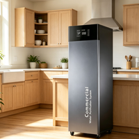 Purificateur d'eau électrique IDIY à grand débit avec filtres UF, affichage TDS, pour irrigation et cuisine, usage domestique et commercial