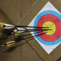 Flèches en carbone de tir à l'arc traditionnel Pinals 30 en 300 340 400 500 600 colonne vertébrale Nature turquie plume composé arc recourbé Longbow