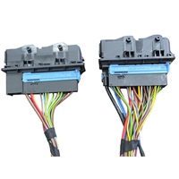 Conjunto de Conectores para Arnés de Puerta Modular 	 Conector Híbrido Automotriz 54P 8715591-02 para Arnés de Cableado de Puerta de Plataforma BMW