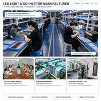 AC 110V 120V US 2-Pin-Stecker Stromkabel mit Transparentem Lötfreiem Verbindungsstück für 8mm 10mm Flexible LED-Streifenlichtleiste